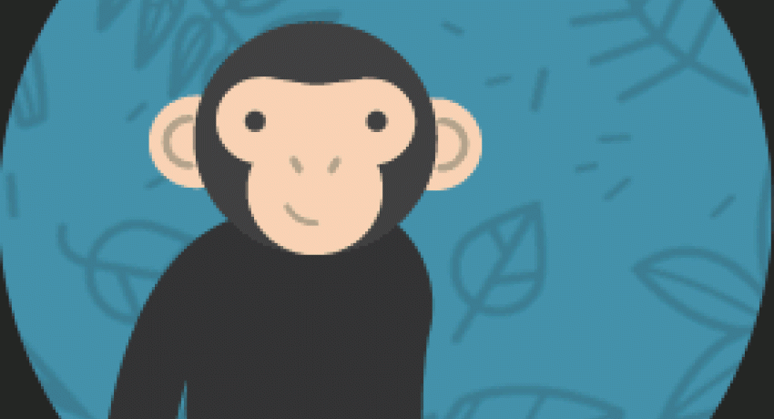 Chimp and See