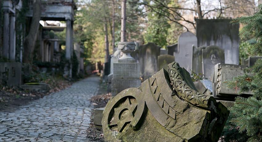From Solidarity to ‘Hyde Park’: Saving the Old Jewish Cemetery in Wroclaw