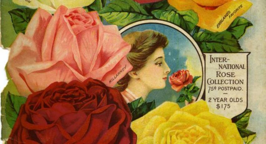 Iowa Seed Catalogs