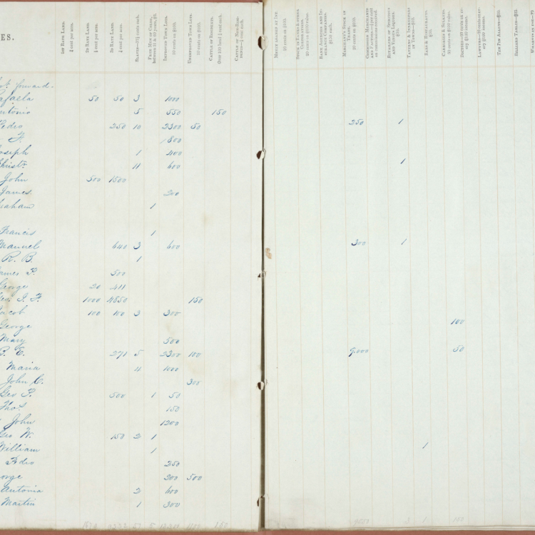 Florida County Tax Rolls, 1845