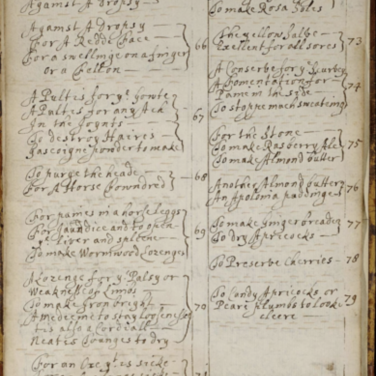 Early Modern Recipe Online Collective